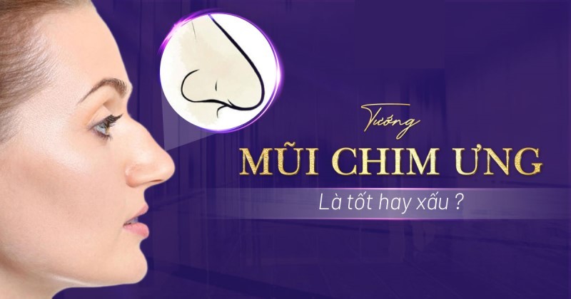 Giải mã tướng mũi chim ưng điềm tốt và điềm xấu trong mệnh cách