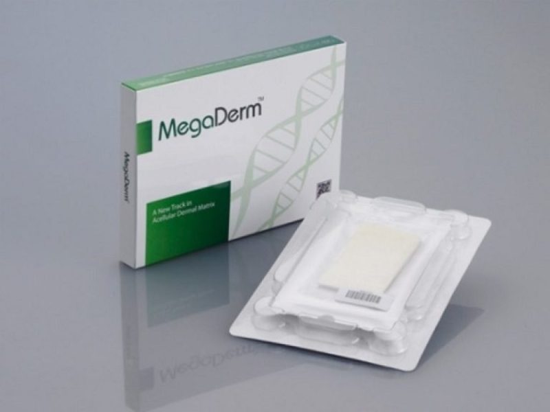 Sụn megaderm trong nâng mũi Golden Line Basic